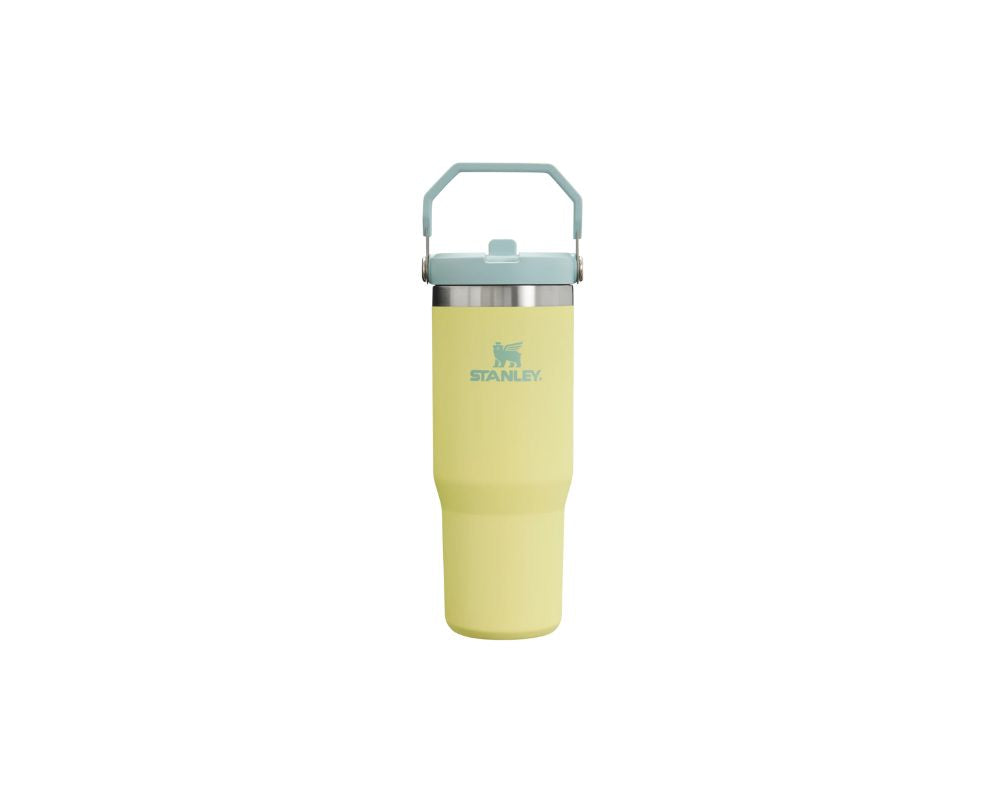Stanley IceFlow Straw Tumbler 30 oz