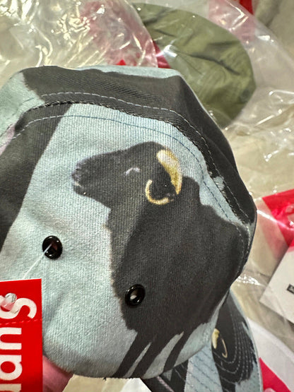 Supreme 25SS Damien Hirst Camp Cap